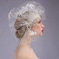 Princess Crystal Pearl Lace Gauze Bridal Fascinator Wedding Dress Prom Face Veils Hair Clip Accessories