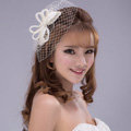 Bowknot Crystal Pearl Gauze Bridal Fascinator Bride Wedding Dress Prom Face Veils Hair Comb Accessories
