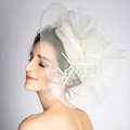 European Gauze Bridal Fascinator Hair Accessories Bride Wedding Dress Prom Large Hat Face Veils