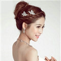 2 pcs Crystal Alloy Butterfly Bride Hair Combs Women Wedding Hair Accessories - Sliver