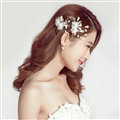 Alloy Leaves Crystal Flower Bride Hair Combs Women Wedding Hair Accessories - White