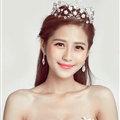 Alloy Rhinestone Hollow Flower Bridal Jewelry Tiaras Earring Women Pageant Sets 2pcs - White